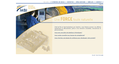 Desktop Screenshot of mbiplastic.com